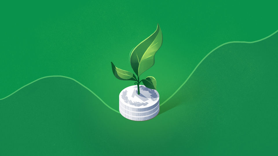 Illustration für die Anlagestrategie Wachstum Eco - Eine Pflanze wächst aus einem Münzstapel